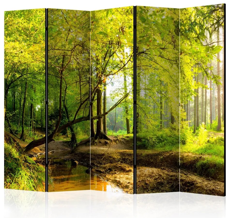 Artgeist Paraván - Forest Clearing II [Room Dividers]