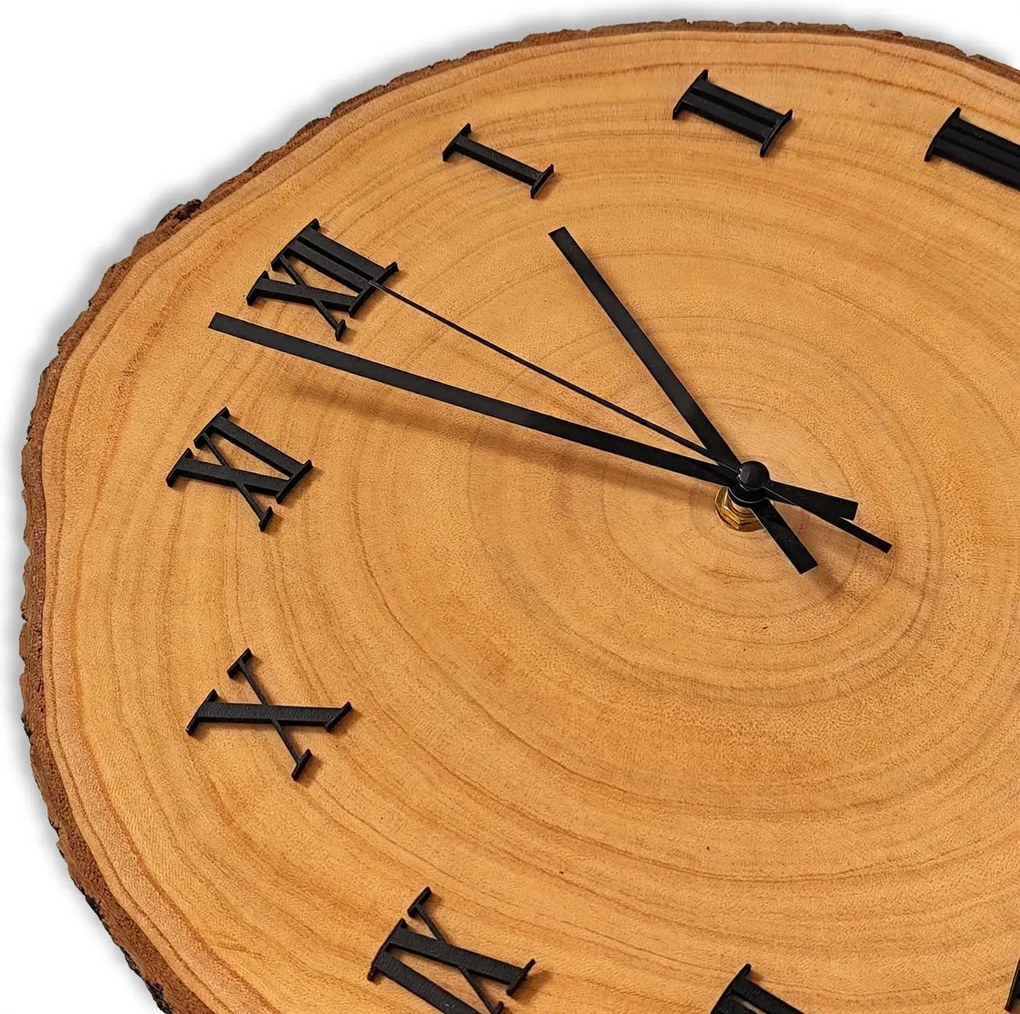Nástenné hodiny z prierezu kmeňa | KORO: Amber - 3072 26-29 cm 4812-115559 KOR005-29-AMBER
