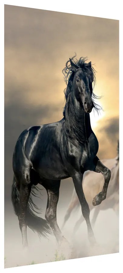 Gario Fototapeta Nádherný čierny kôň Materiál: Samolepiaca, Rozmery: 200 x 135 cm