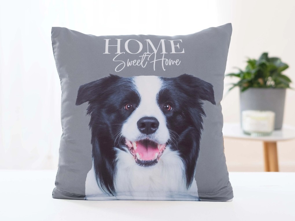 Obliečka na vankúš 40 × 40 cm - Border Kólia Veselé šteňa