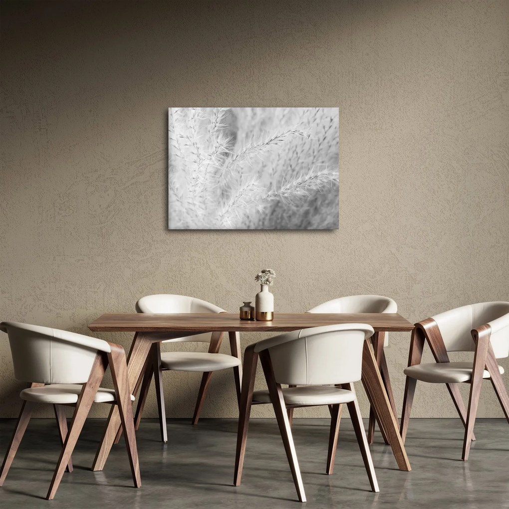 Obraz - Pampas grass N⁰1 (70x50 cm)