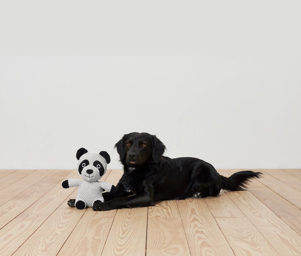 Plyšová hračka pre psy »Waschbär«