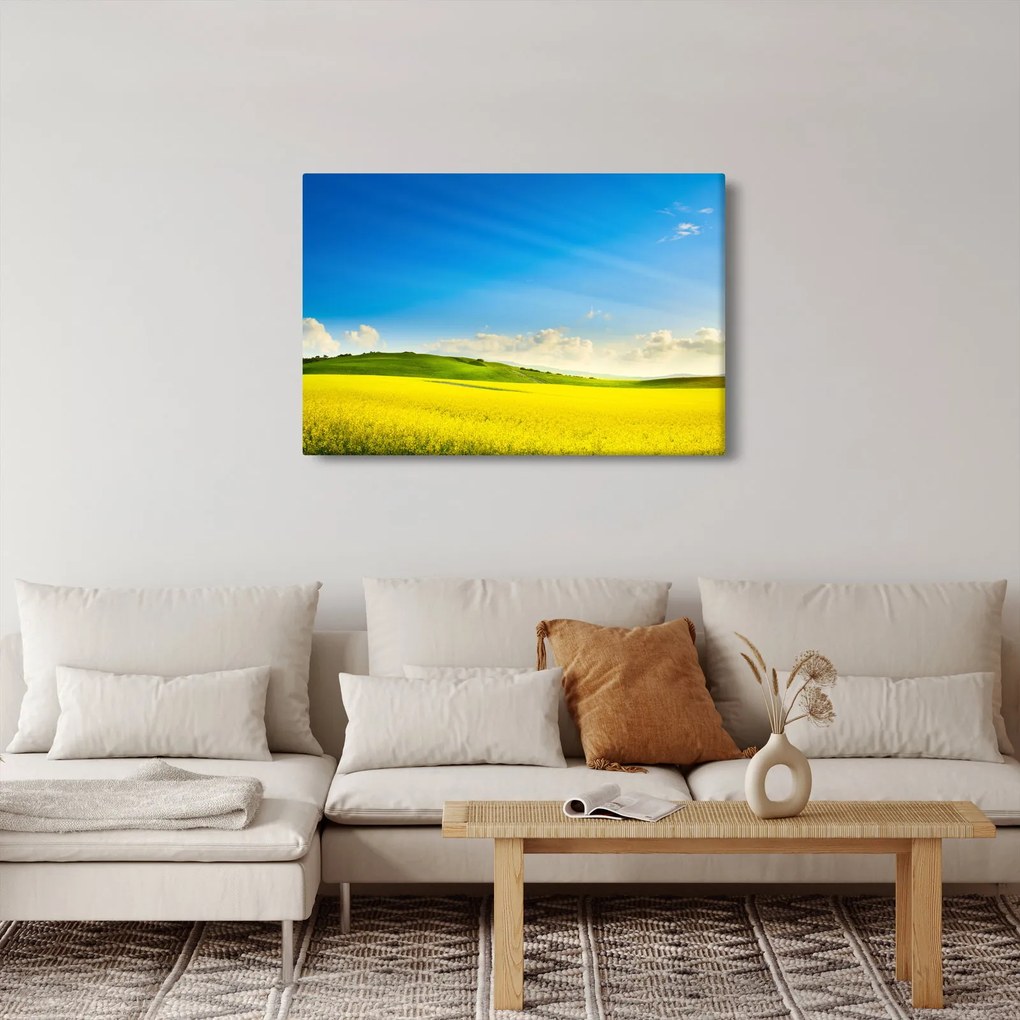 Obraz - Jarné nebo (90x60 cm)