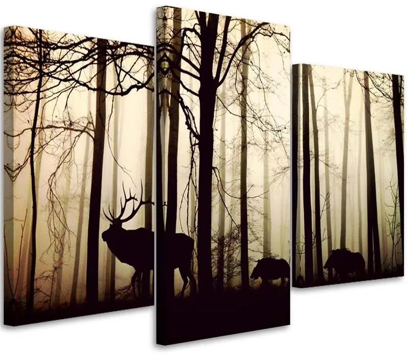 Gario Obraz na plátne Lesné zvieratá - 3 dielny Rozmery: 60 x 40 cm