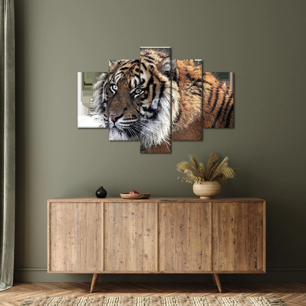 Obraz tigra (150x105 cm)