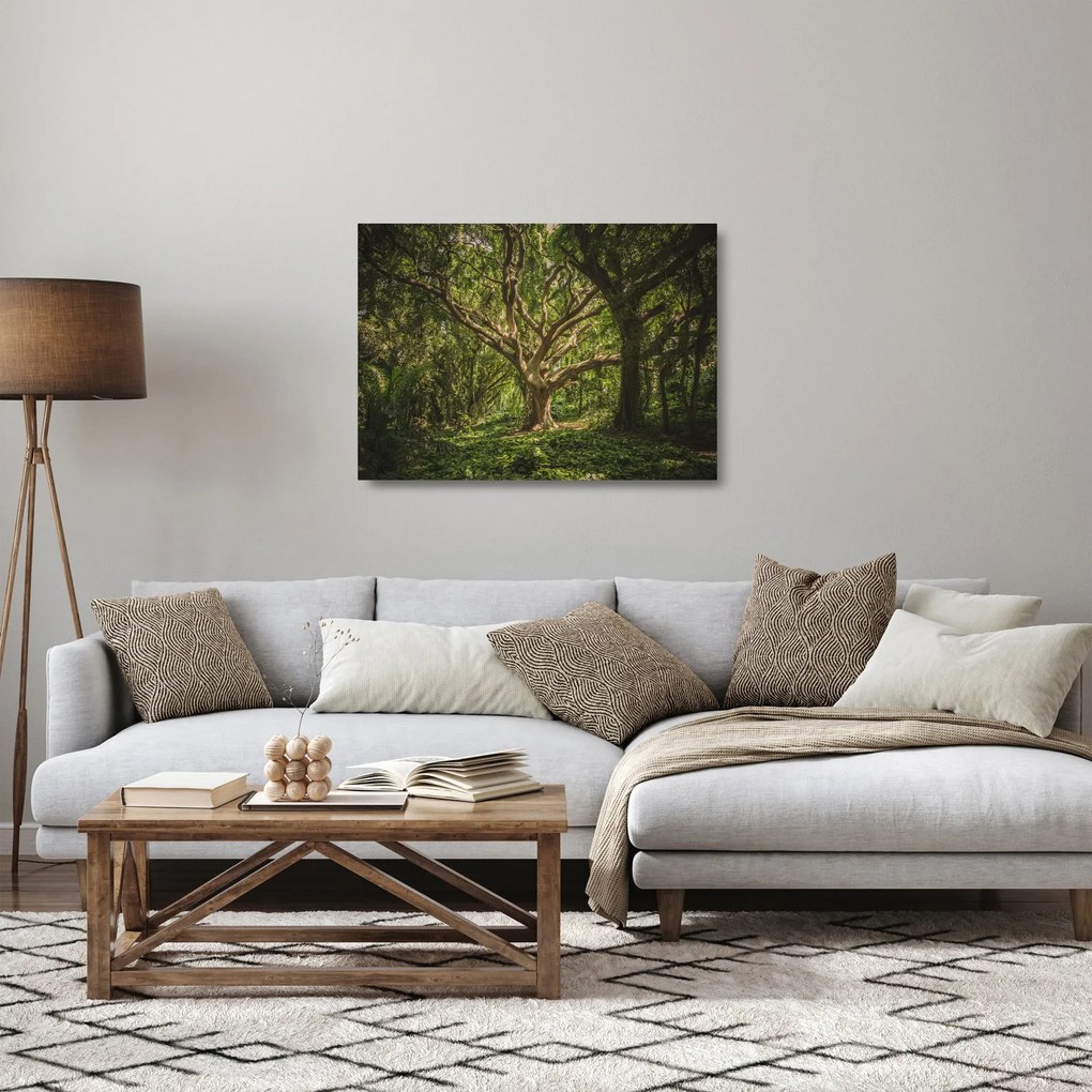 Sklenený obraz stromov (70x50 cm)