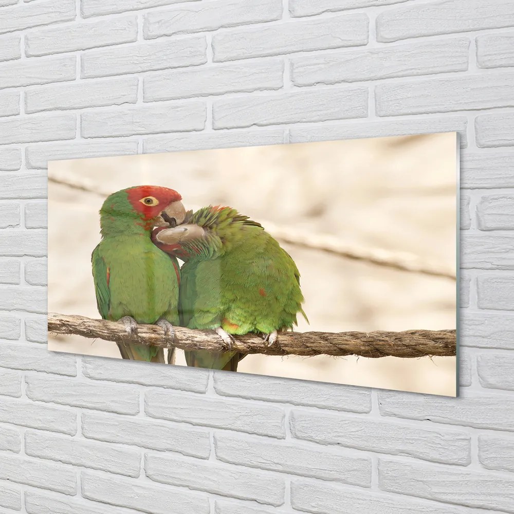 Obraz na akrylátovom skle Zelené papagáje 140x70 cm