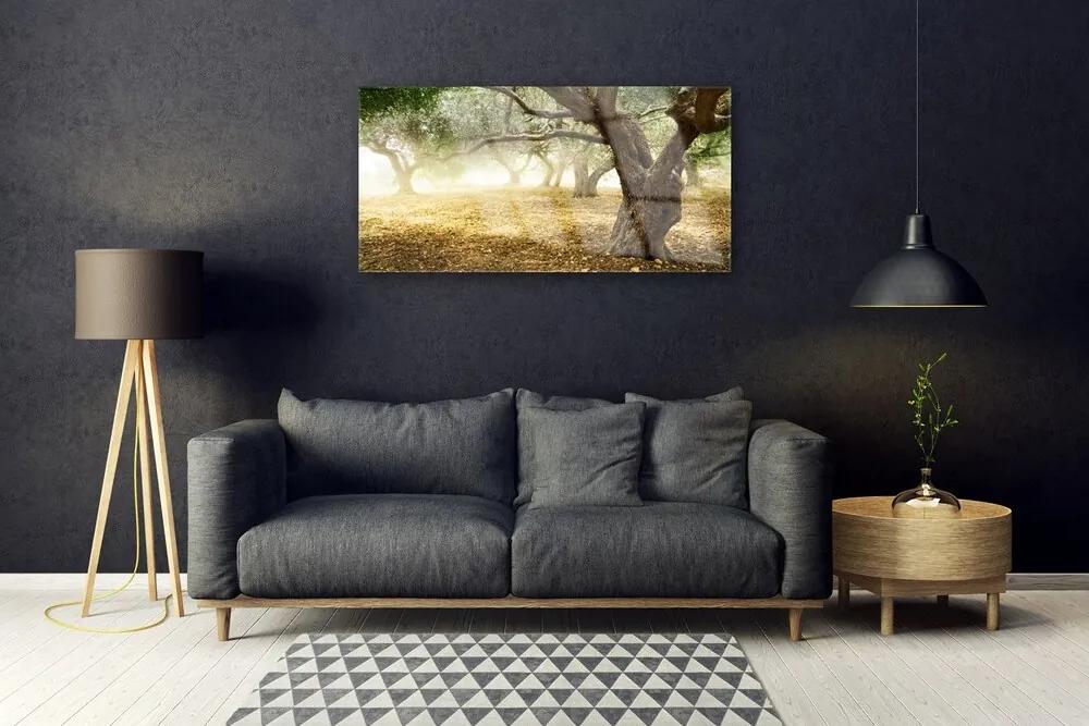 Obraz na skle Strom tráva príroda 125x50 cm