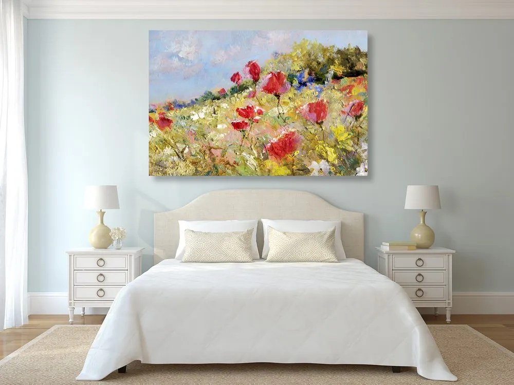 Obraz divé maky na lúke