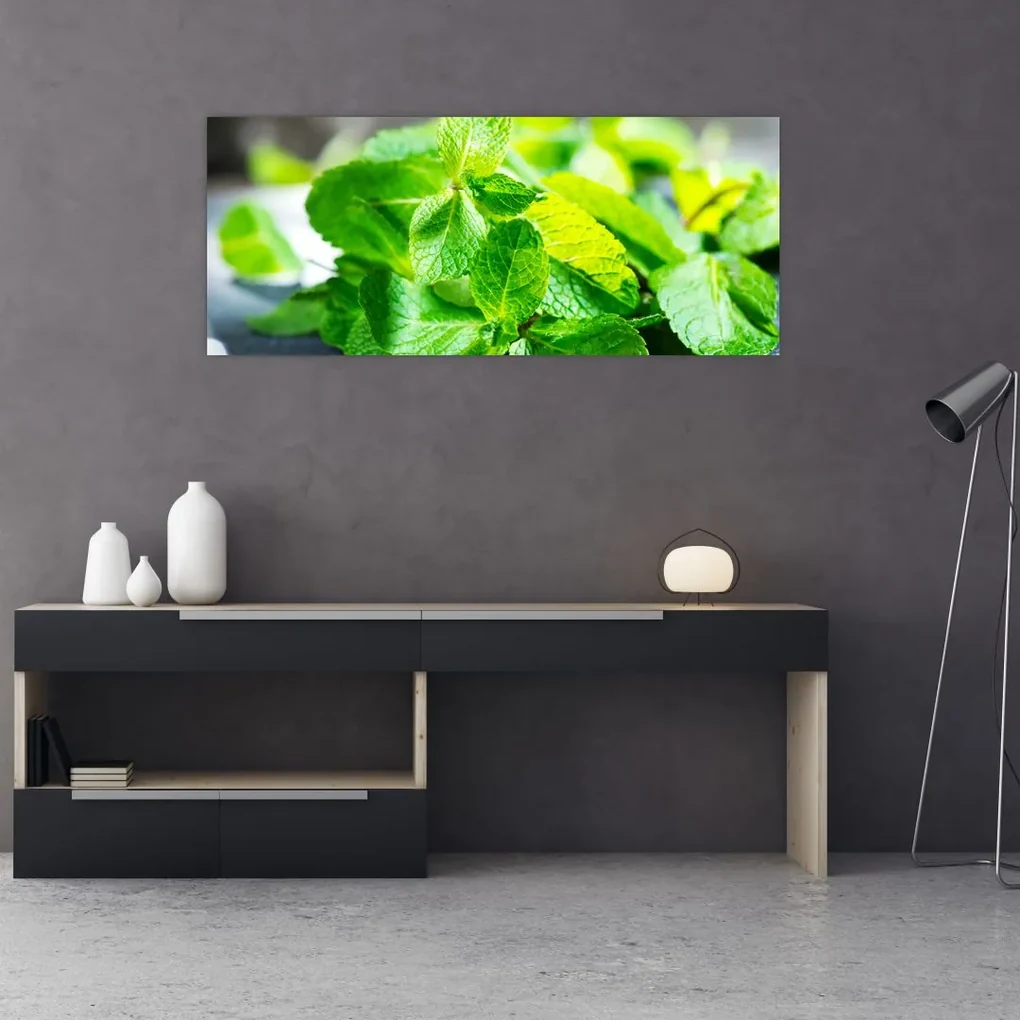 Obraz mäty (120x50 cm)