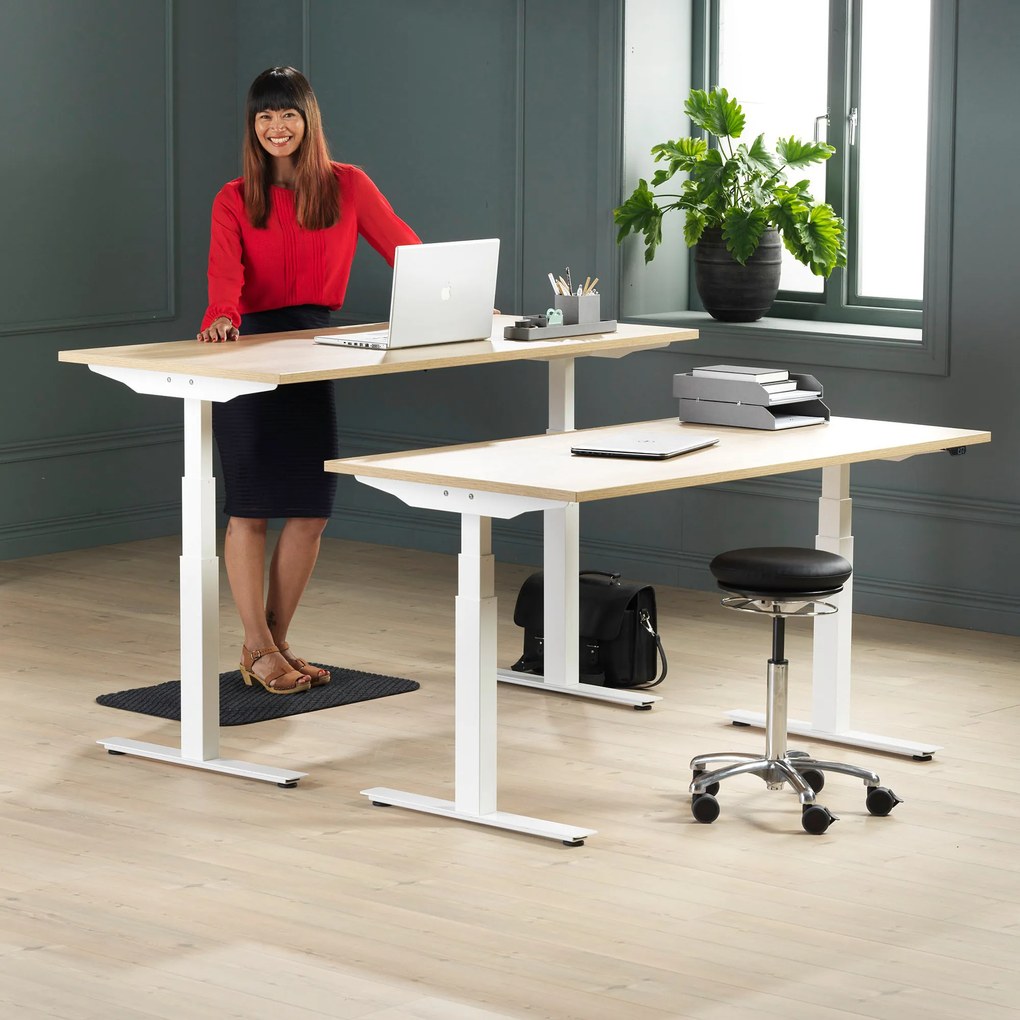 Kancelársky pracovný stôl Modulus, T-rám, 1600x800 mm, breza/biela