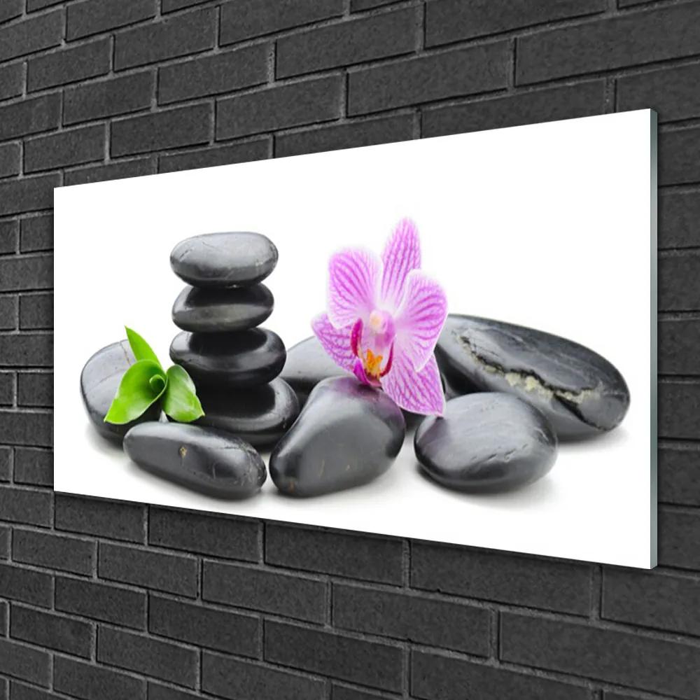Obraz na skle Kvet kamene umenie 140x70 cm