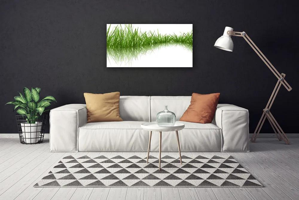 Obraz Canvas Tráva príroda rastlina 120x60 cm