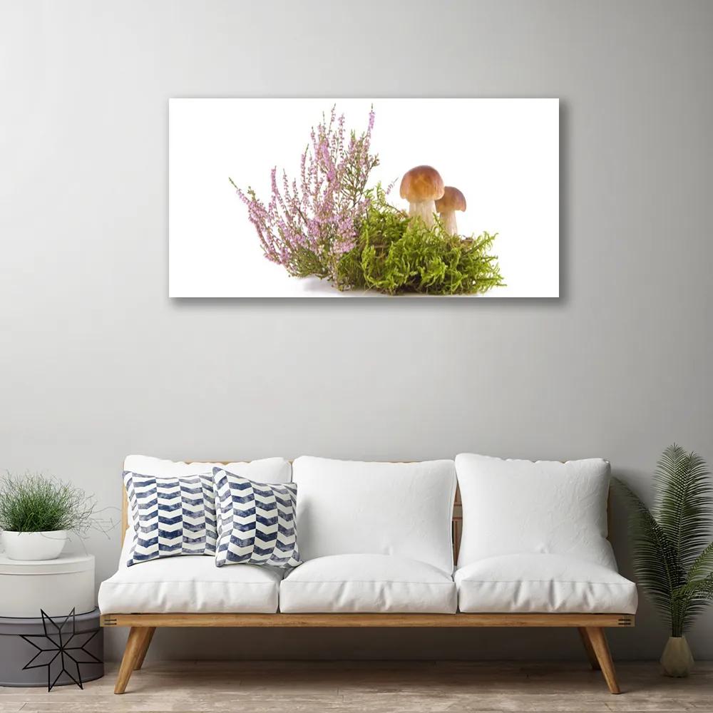 Obraz Canvas Huby rastlina príroda 140x70 cm