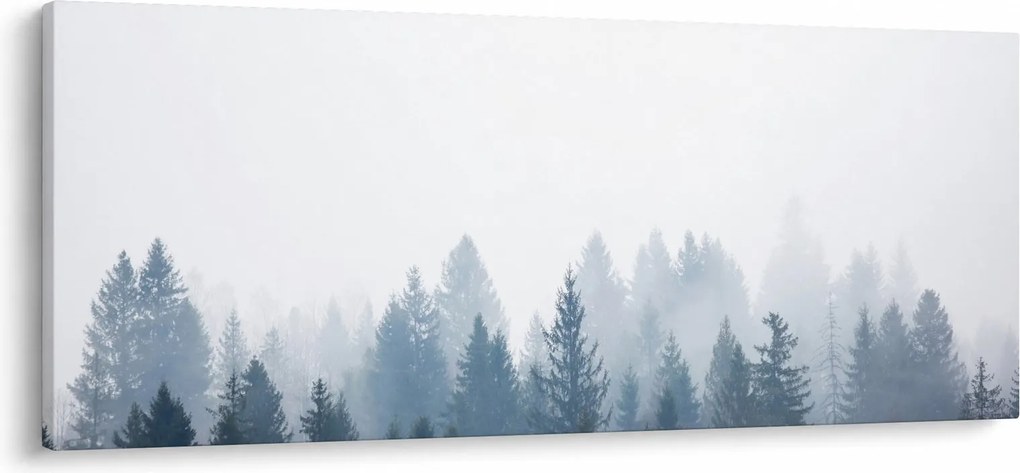 Obraz - Zahmlený les (120x50 cm)