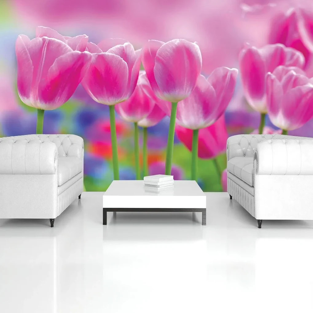 Fototapeta - Tulipány (152,5x104 cm)