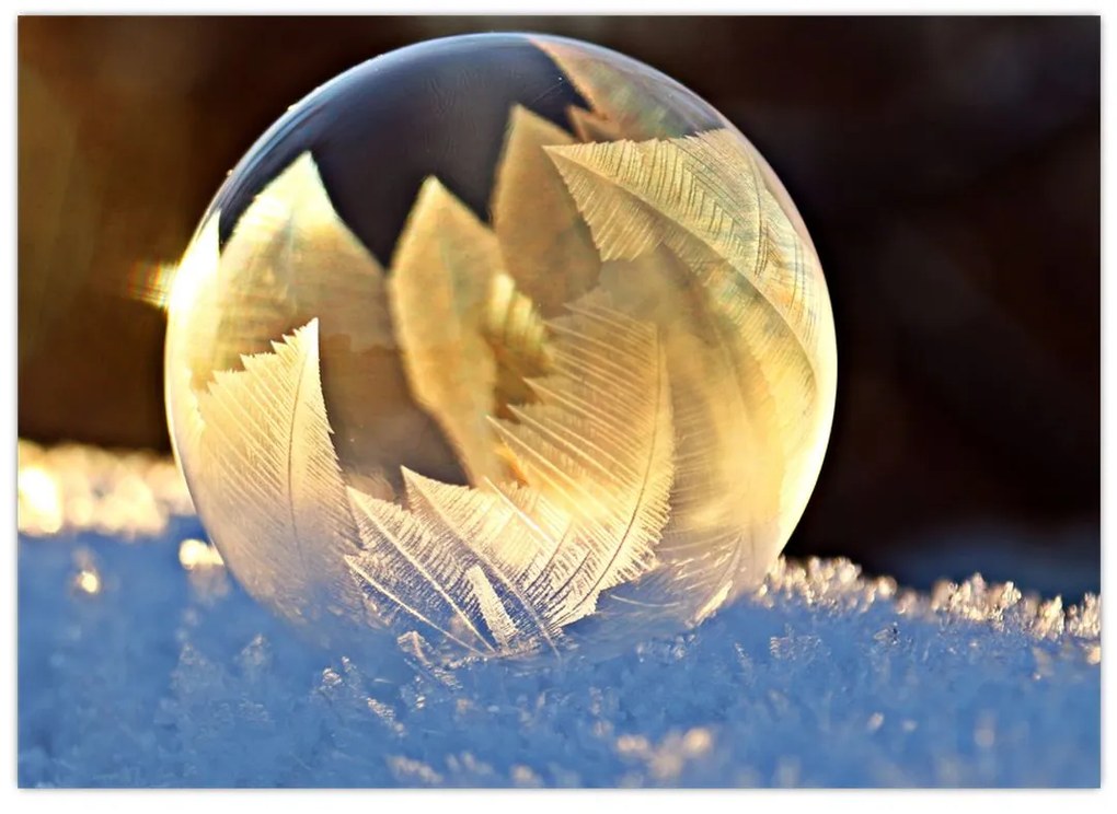 Sklenený obraz zamrznutej bubliny (70x50 cm)