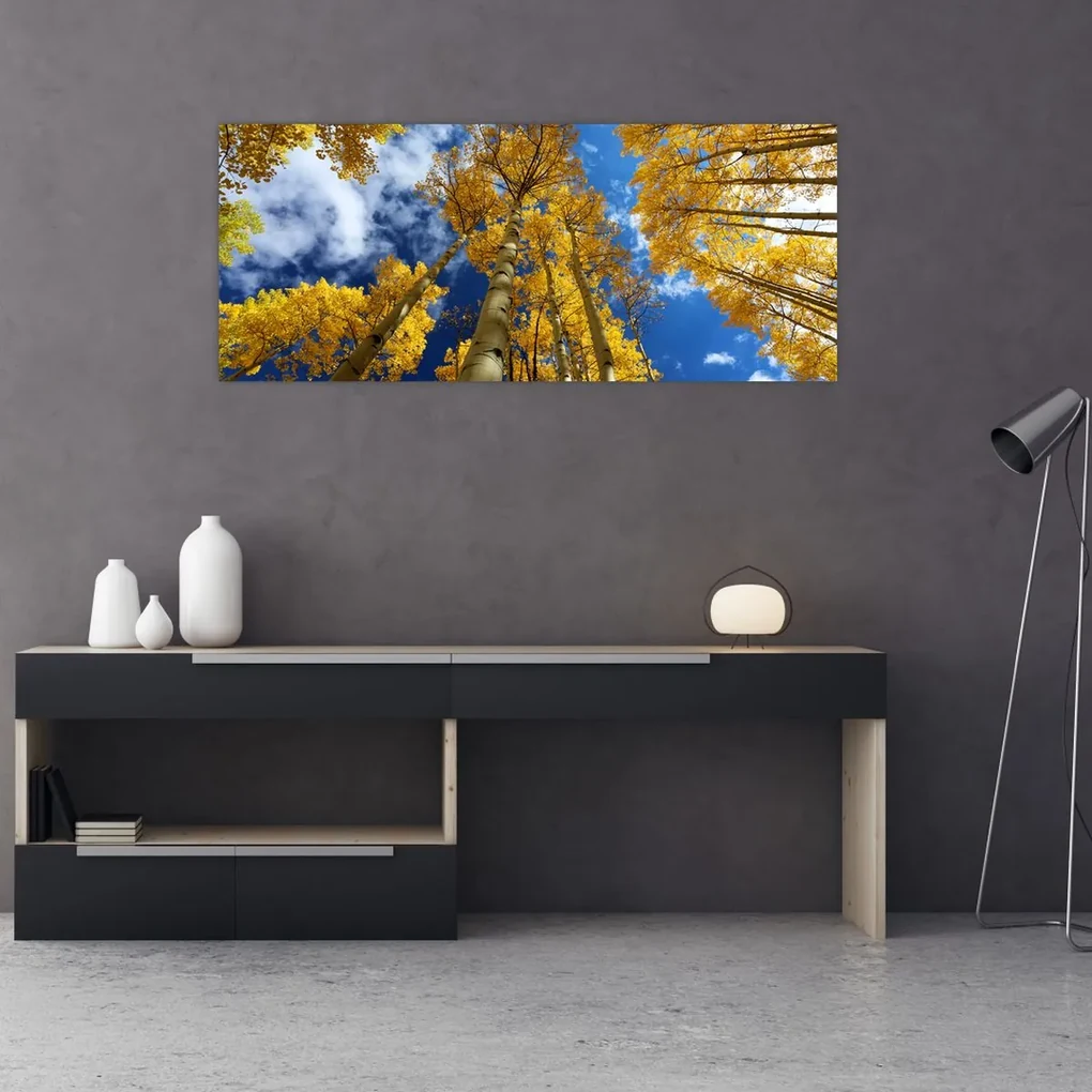 Obraz - Aspen (120x50 cm)