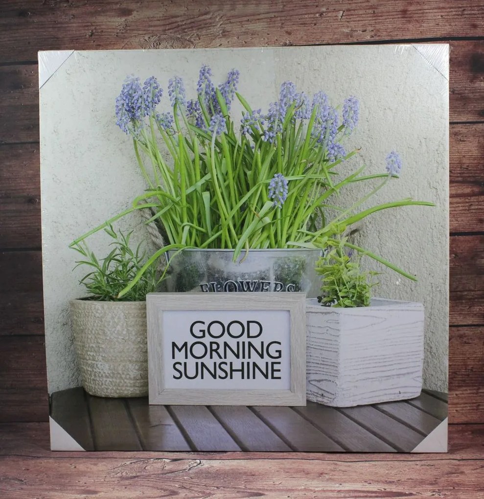 Obraz "GOOD MORNING SUNSHINE" (60x59,5 cm)