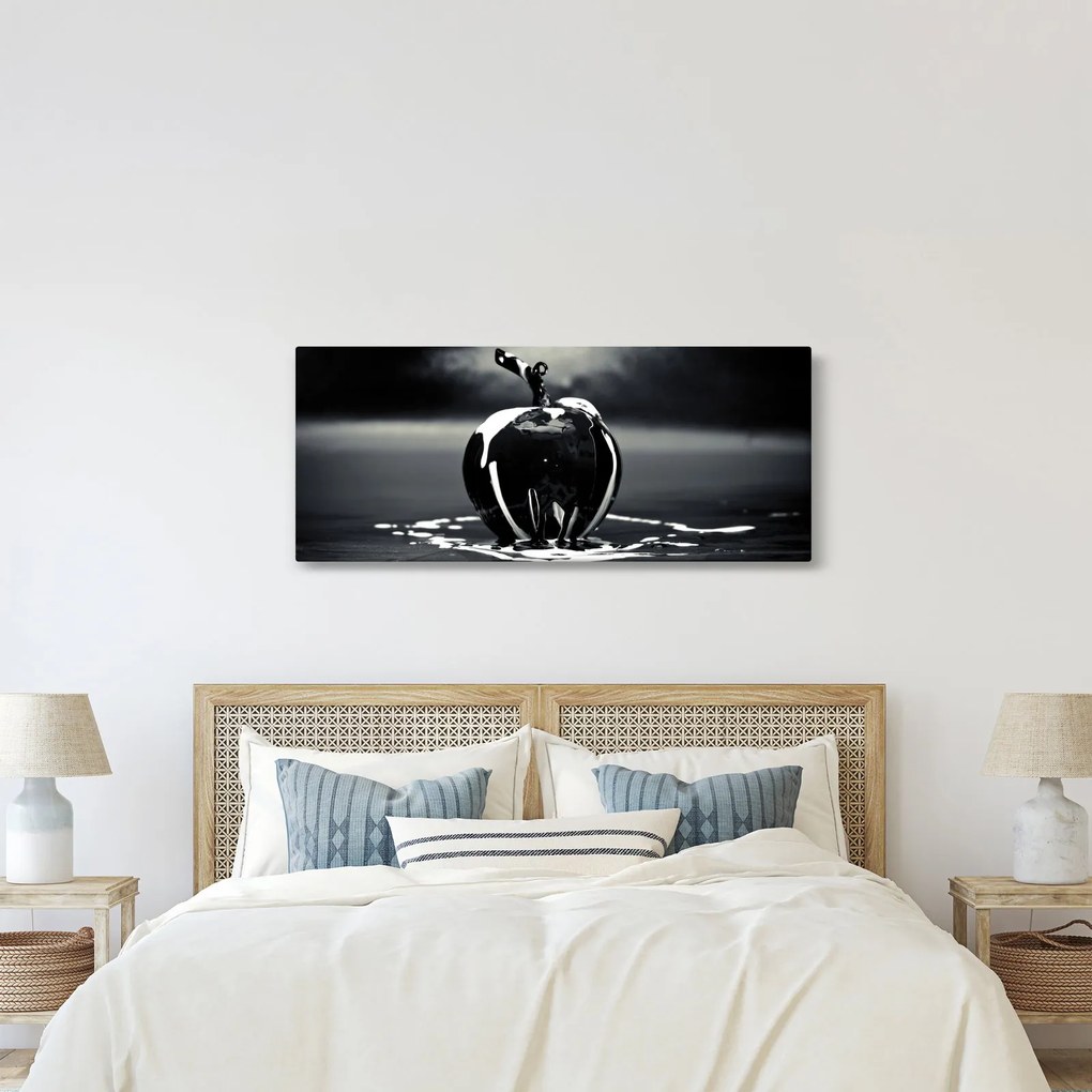Obraz čierneho jablká (120x50 cm)