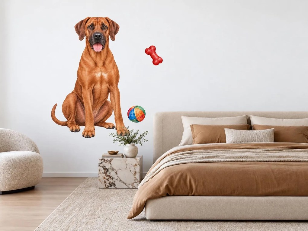 Rhodézsky ridgeback s loptičkou a kosťou realistické textilné nálepky na stenu pre milovníkov ridgebackov arch 30 x 46 cm