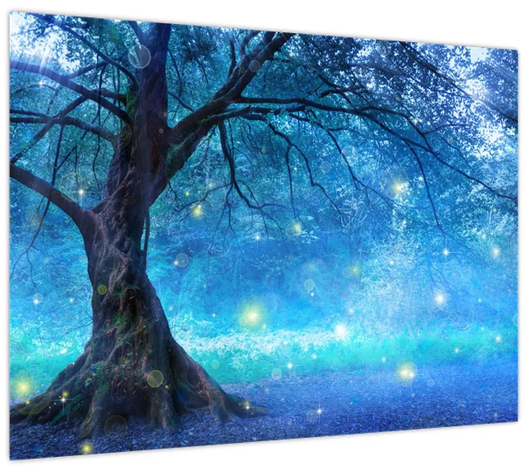 Obraz - Mystický les (70x50 cm)