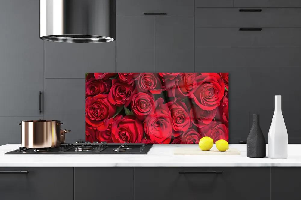 Sklenený obklad Do kuchyne Červené ruže kvety príroda 140x70 cm