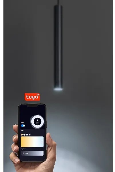 Rabalux 70132 - LED Stm. luster na lanku do 1-fáz. lišt. sys. LiTrack LED/5W/24V