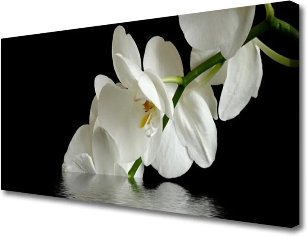 Obraz Canvas Orchidea vo Vode Kvety