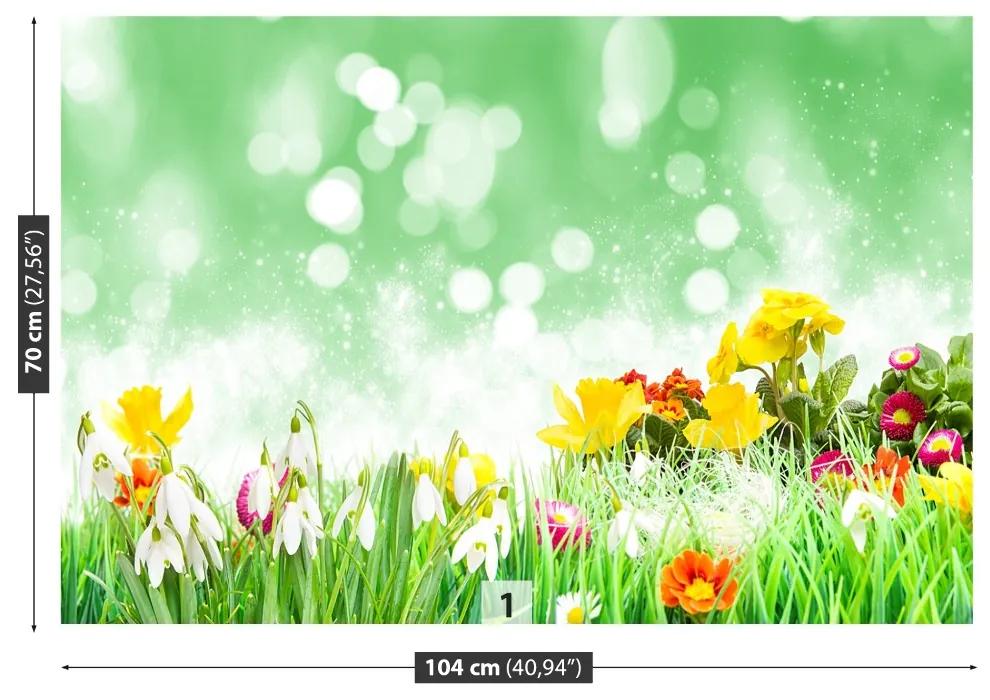 Fototapeta Vliesová Veľkonočné kvety 104x70 cm