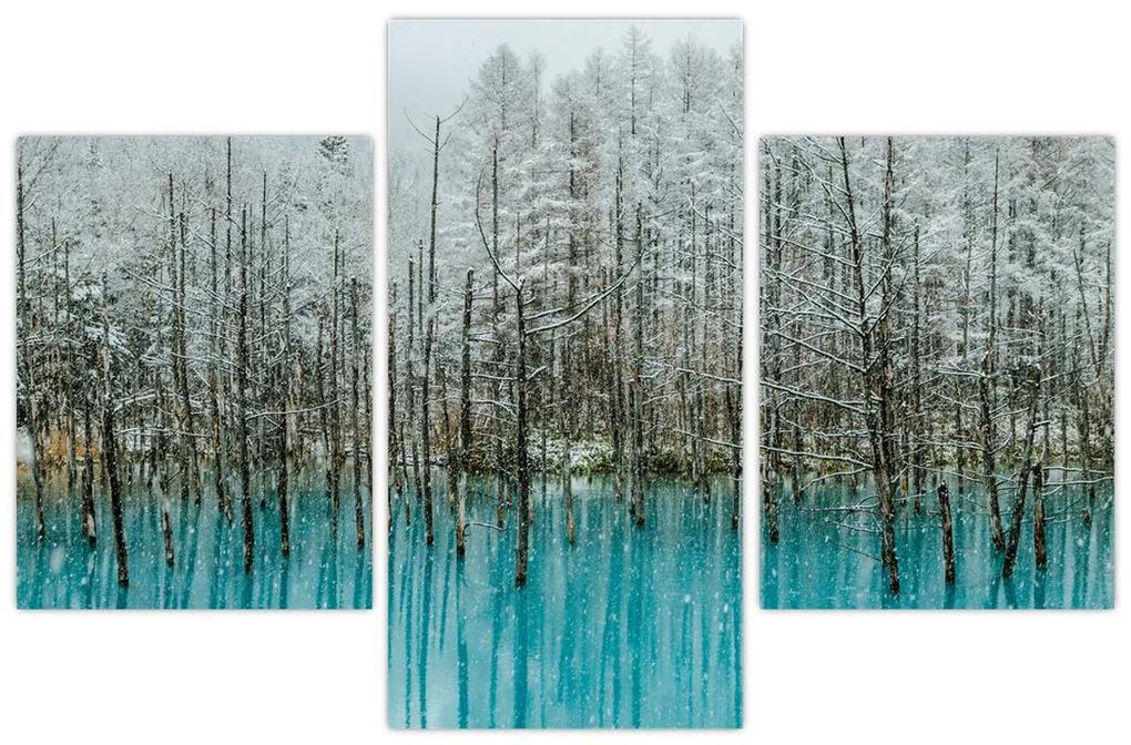 Obraz - Tyrkysový rybník, Biei, Japonsko (90x60 cm)