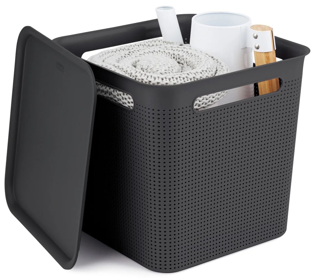 Rotho Úložný box s rúčkami BRISEN 18 l, 29 x 29 x 29 cm, čierny S vekom / Bez veka: Bez veka
