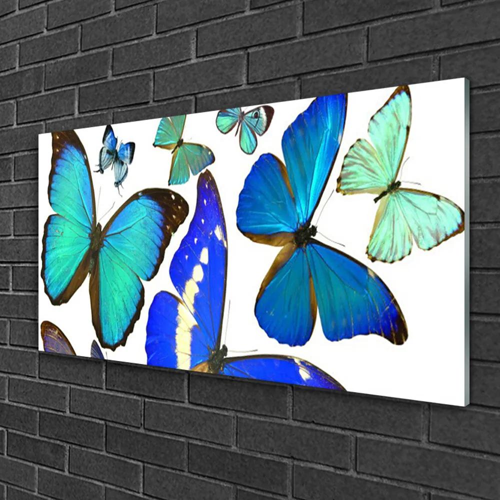 Obraz na skle Motýle príroda 120x60 cm