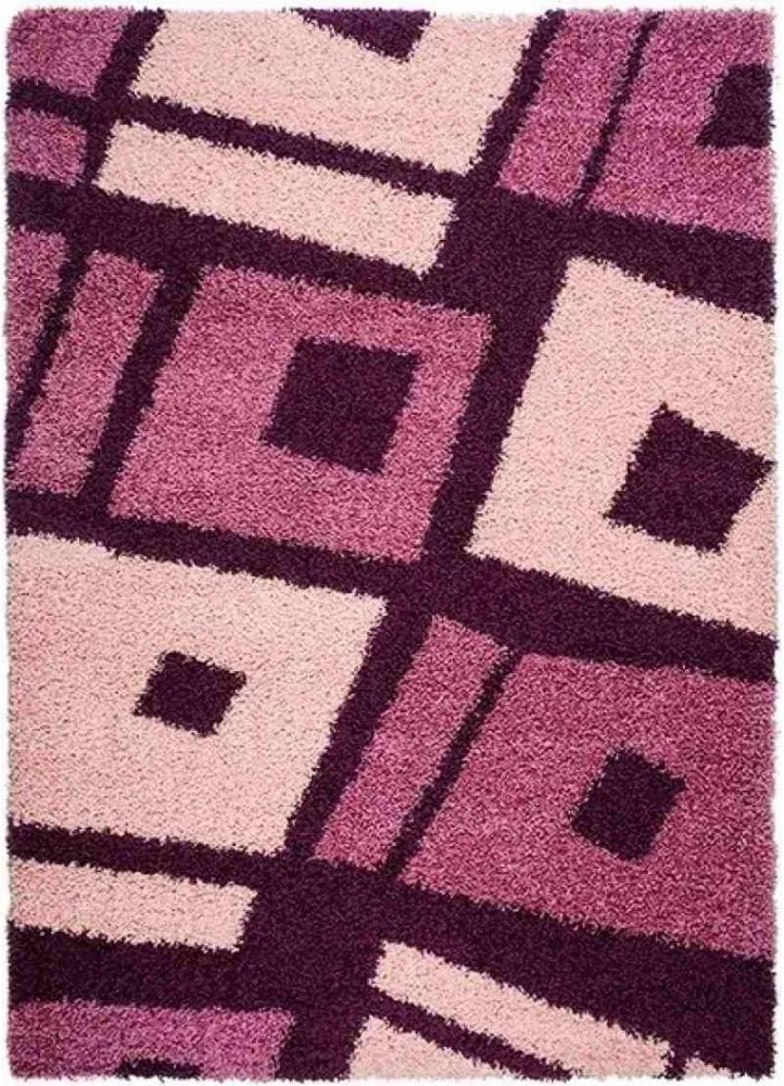 Kusový koberec Shaggy Loca Biagio fialový, Velikosti 160x220cm