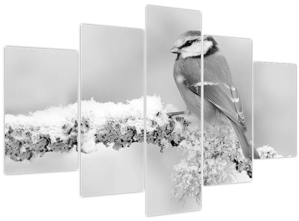 Obraz - Vtáčik na vetve (150x105 cm)