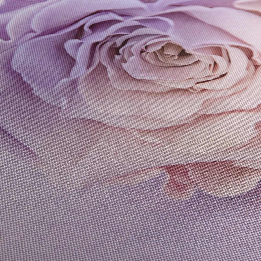 Obraz detailu kvetu ruže (s hodinami) (90x30 cm)