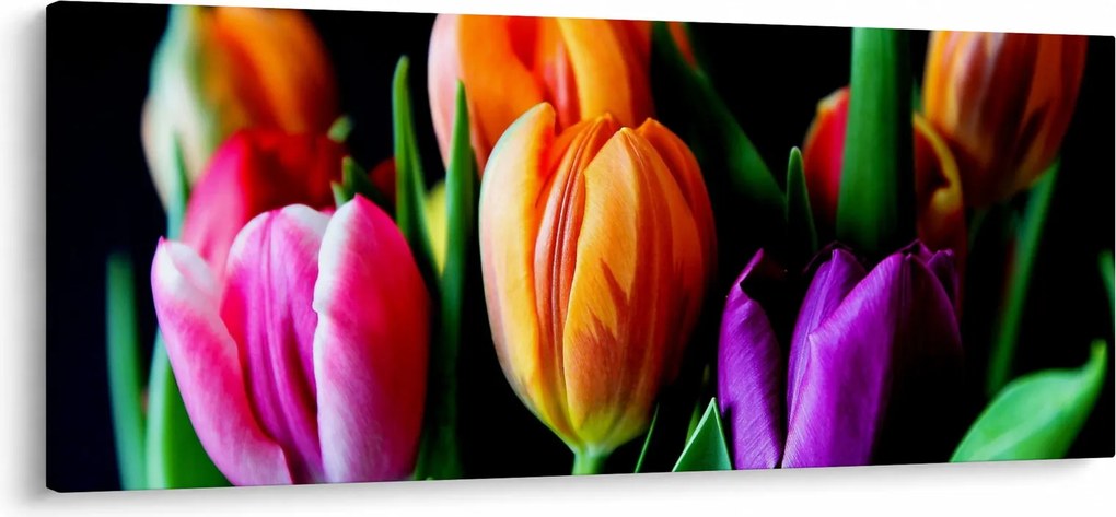 Obraz tulipánov na čiernom pozadí (120x50 cm)