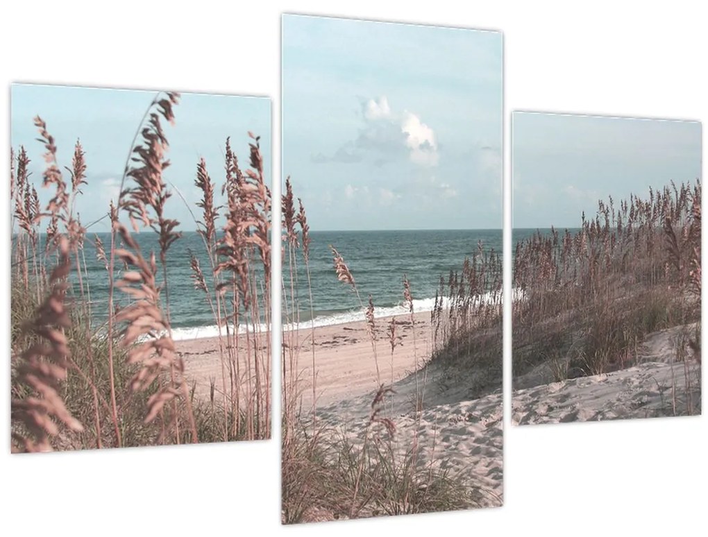 Obraz - Ružová pláž (90x60 cm)