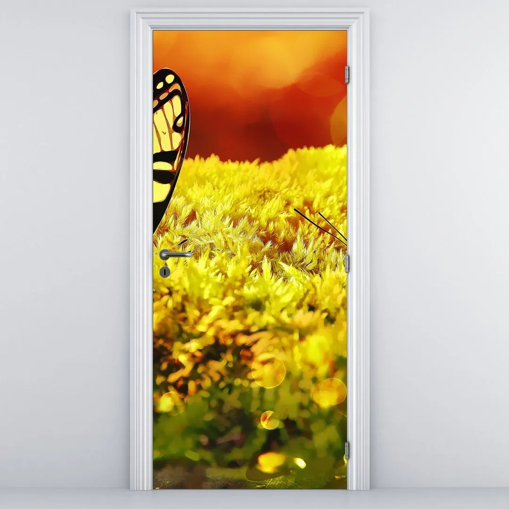 Fototapeta na dvere - Motýle (95x205cm)