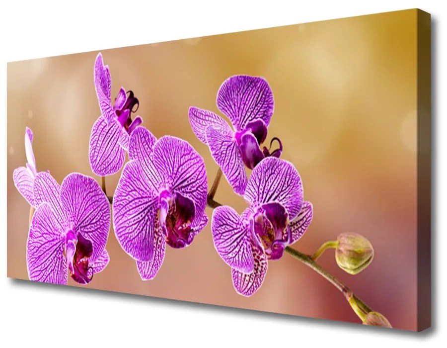 Obraz Canvas Orchidea výhonky kvety príroda 120x60 cm