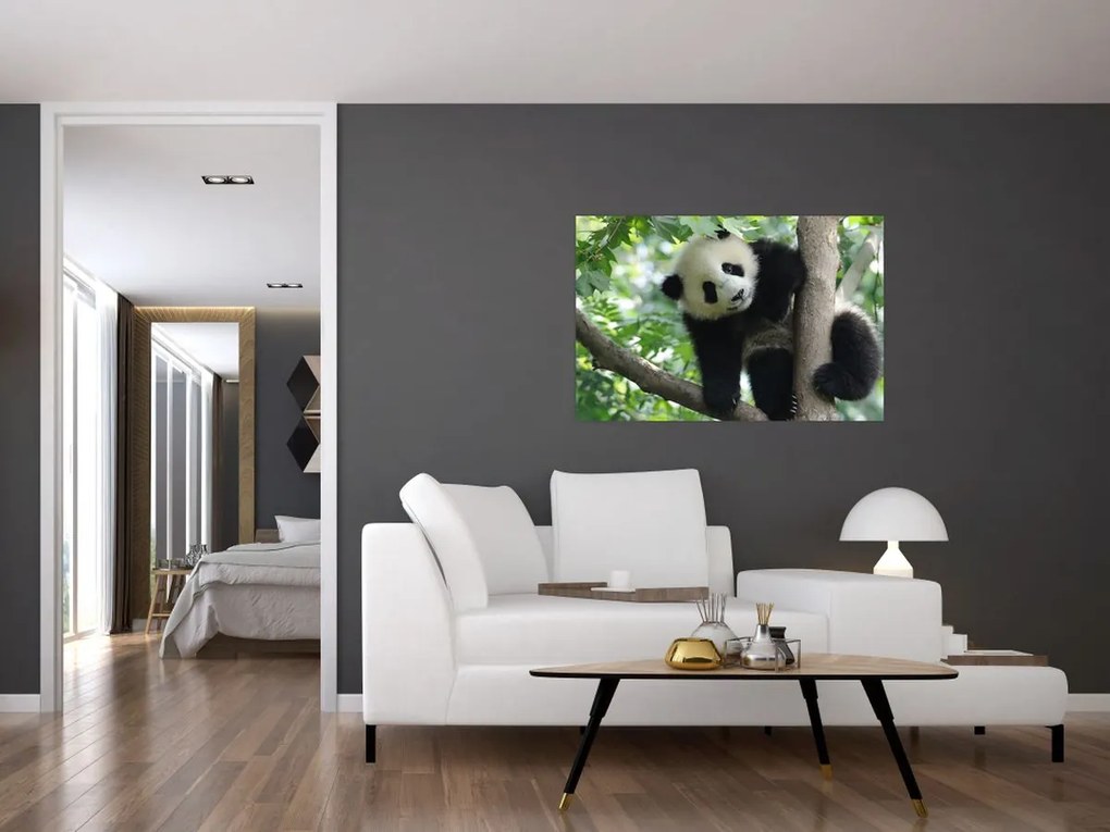 Obraz - Panda na strome (90x60 cm)