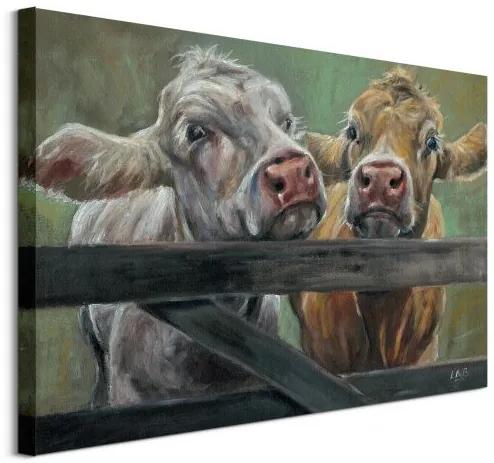 Art Group Obraz na plátne Dve kravy Brown Louise 80x60cm | BIANO