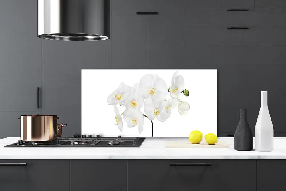 Sklenený obklad Do kuchyne Biela orchidea kvety 125x50 cm