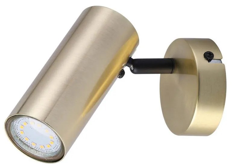 Kovové nástenné svietidlo v zlatej farbe Colly - Candellux Lighting