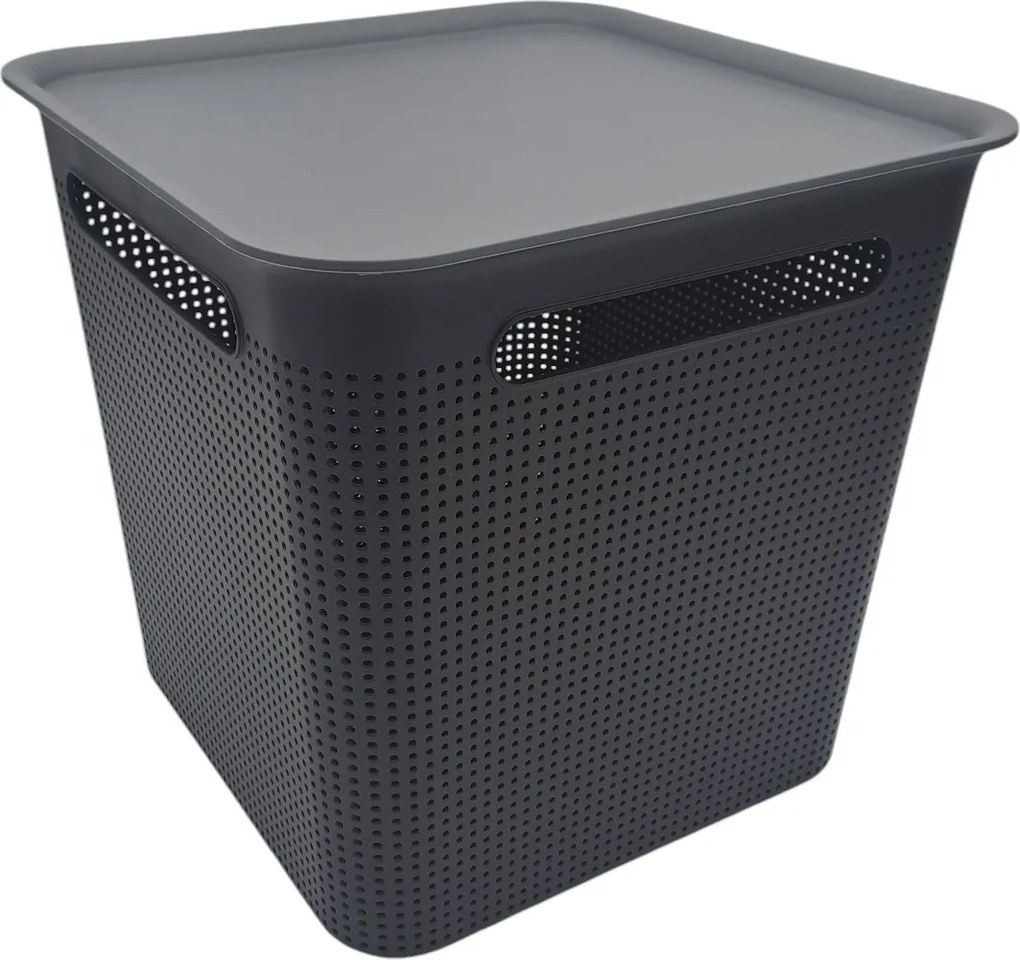 Rotho Úložný box s víkem a s madly BRISEN 18l, 29x29x29cm, černý