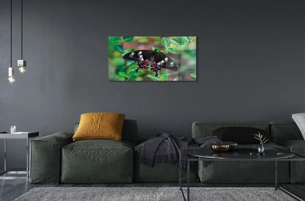 Sklenený obraz List farebný motýľ 120x60 cm
