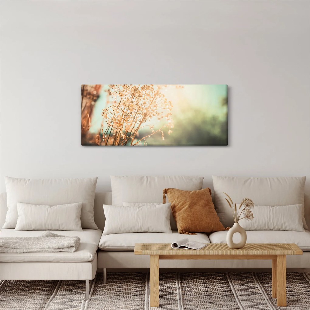 Obraz - Rastliny po daždi (120x50 cm)