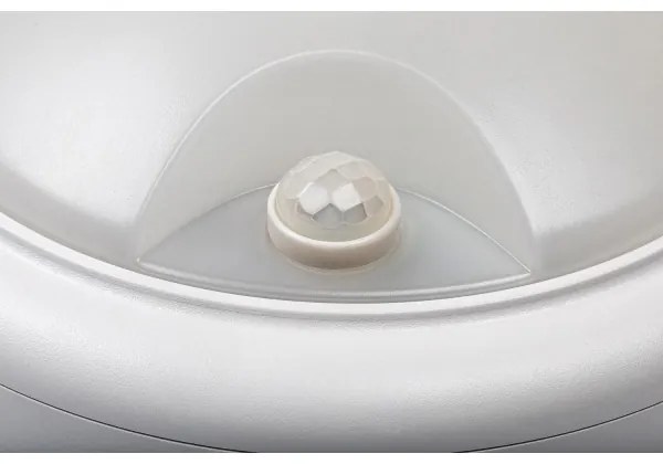 Rabalux 77029 - LED Vonkajšie nástenné svietidlo so senzorom LED/15W/230V IP54