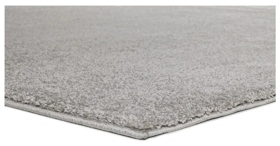 Svetlosivý koberec Universal Montana, 200 × 290 cm