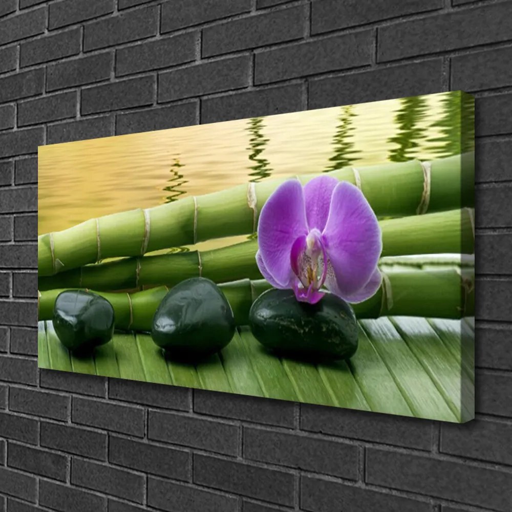 Obraz na plátne Kvet kamene bambus príroda 120x60 cm